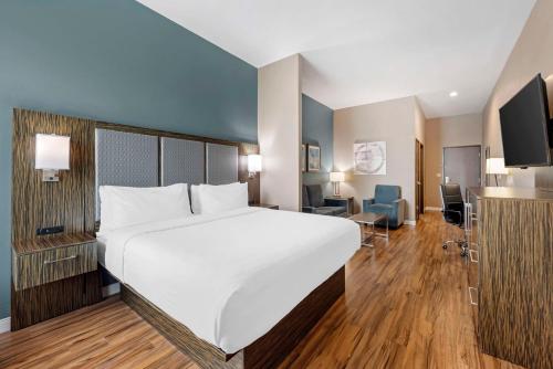 King Suite with Sofa Bed