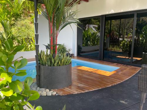 Peldbaseins, Villas Pura Vida every villa comes a private swimming pool in Tortugal