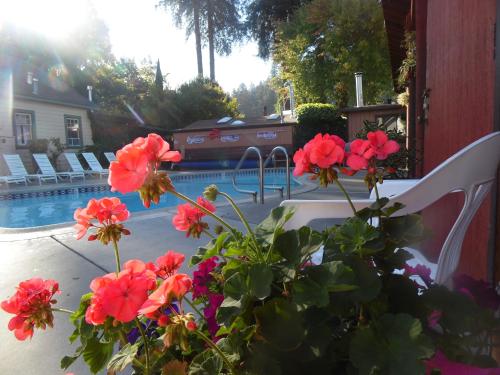 Riverlane Resort
