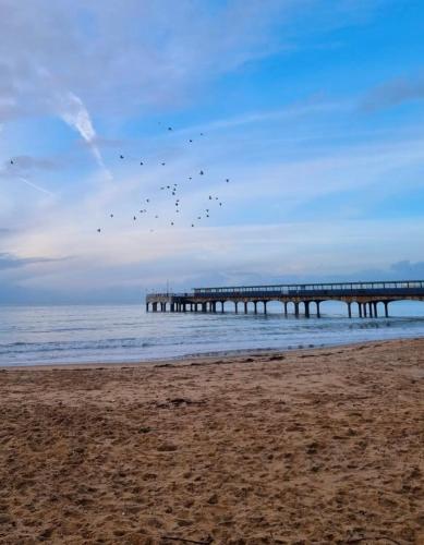 Beautiful beach walk apartment in Boscombe East