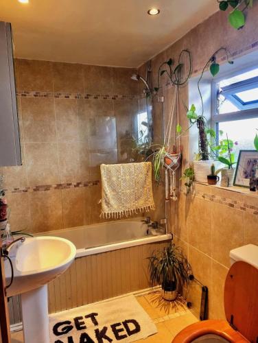 Beautiful beach walk apartment in Boscombe East