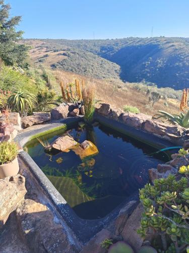 Surrounding environment, Leopards and Louries Bush Lodge in Camperdown