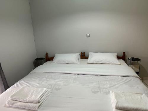 D2 Apartment - Athens Oasis, Atene (foto 9)