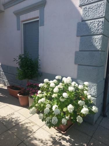 La Casa di Piccolì di Gabriele Martelli e Catia Pacetti - Camera Coccinella, Ancona (photo 9)
