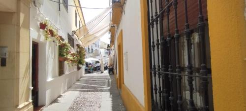 Zahra - Terraza Centro Cordoba, Córdoba (foto 4)