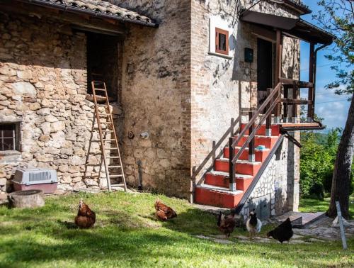 Il Rifugio del Cacciatore / The Hunter's Shelter 5