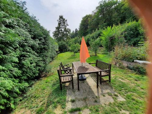 Eldorstal-1-Ferienwohnung-in-Bad-Harzburg-mit-Hund-direkt-am-Nationalpark-1000-qm-Garten in Bad Harzburg