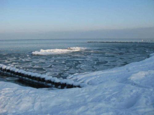 Haus Eule 2 - Ortsmitte Haus Eule 2 - Ortsmitte