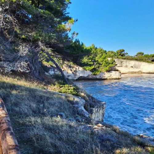 Photo - Althea Village Residence