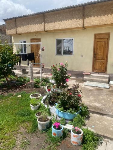 Nomad Guest House in Koçkor