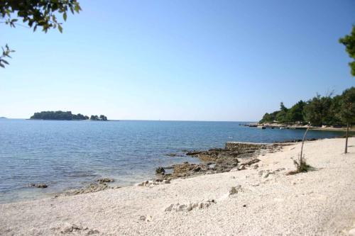 沙灘, Apartments in Rovinj - Istrien 11528 in 蒙塞納