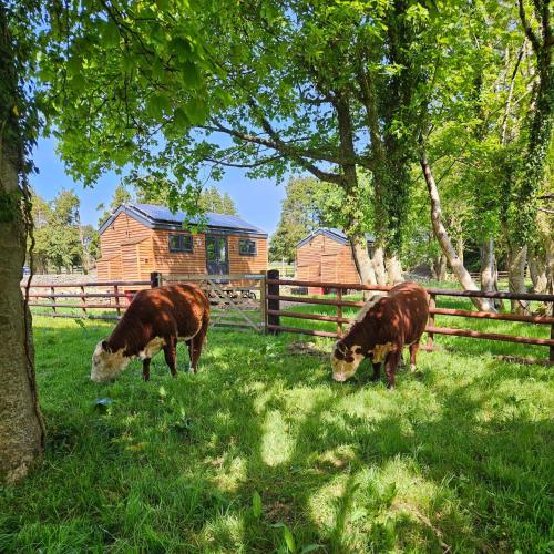 Woodland Shepherds Hut - 'Saga'