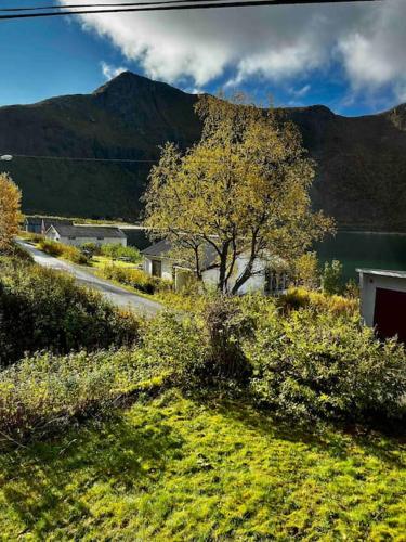 Rural life on the rough coastline of Senja in Mefjordvær