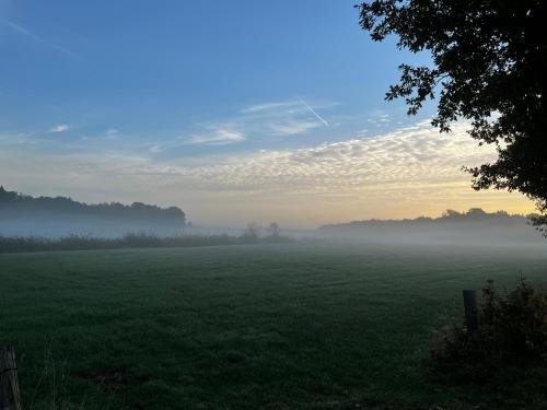 B&B - Western Horse Academy, Walsrode (Foto 10)