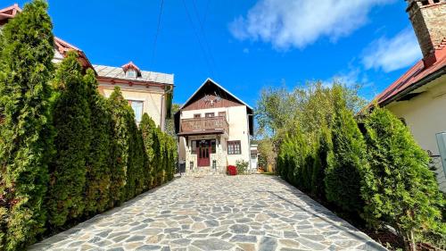 Bucegi View