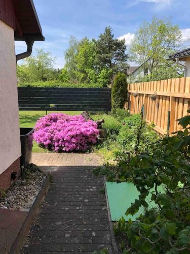 Gemütlicher Bungalow in Cottbus - Sielow