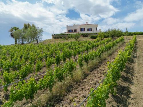 Tenute Nynfà gîte à louer Santa Ninfa