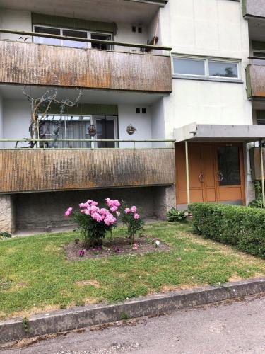 Marientali in Kudjape