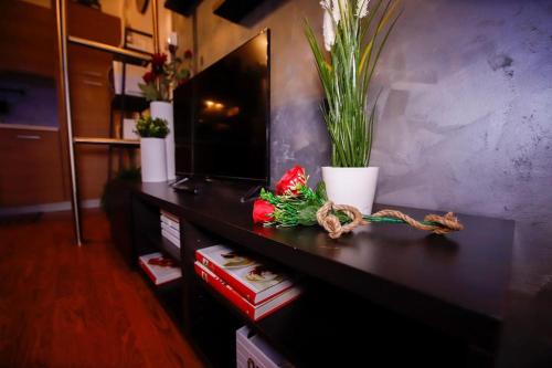 Loft in Pieno Centro a 150 mt dalla Mole, Turín (fotografie 4)