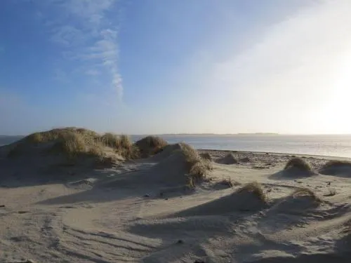 Heckenrose3 EG links in Norddorf auf Amrum, Deutschland