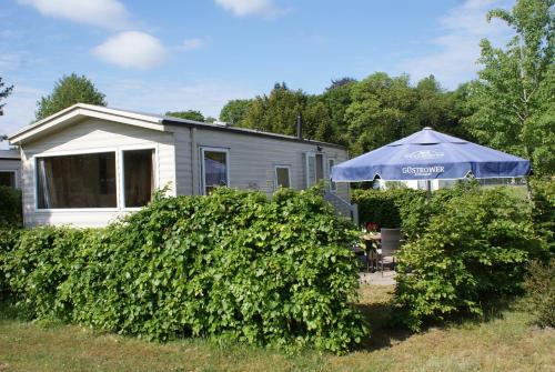 Mobile Home