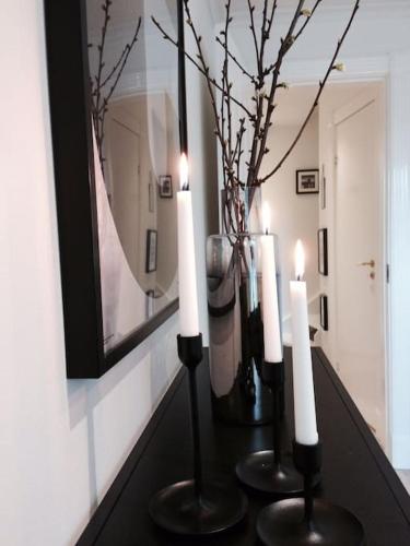 Mezzanine apartment design furnished & 3m2 for city center, Kodaň (fotografie 6)