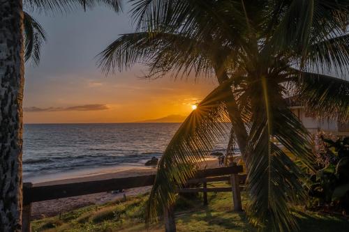 Maui Banyan H-503 - 1 Bedrooms Deluxe Condo Ocean View 2 pools - image 11