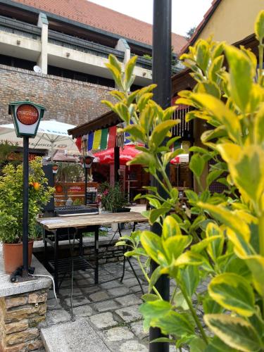 Exterior view, Katalinkert Panzio in Gyor