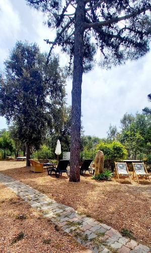 Villa Assunta, Tertenia (foto 8)