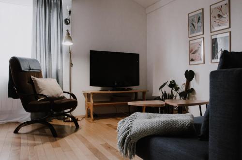 Közös társalgó / TV, Apartament Zdrojowy in Muszyna városközpont