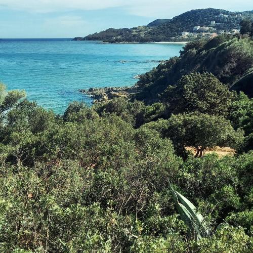 Villa Assunta, Tertenia (foto 5)