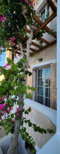 Casa Kairis premium suites - Tap to explore photos