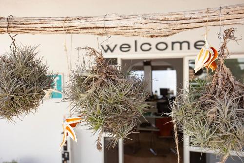 Apartamentos Europa - image 11