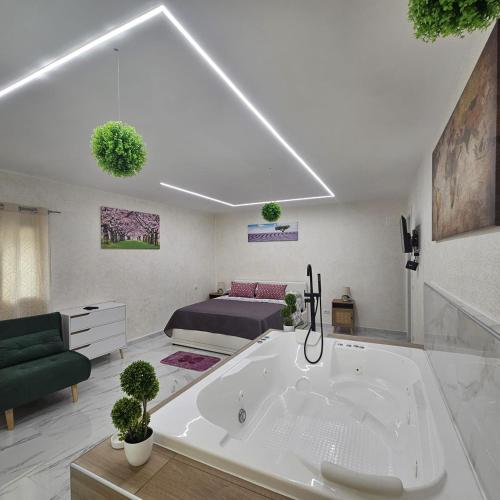 1 king bed, 1 sofa bed
