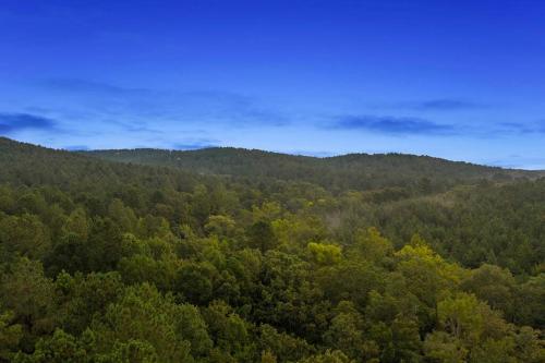 Modern Chic Design - Dreamy Couples Cabin! Hot Tub