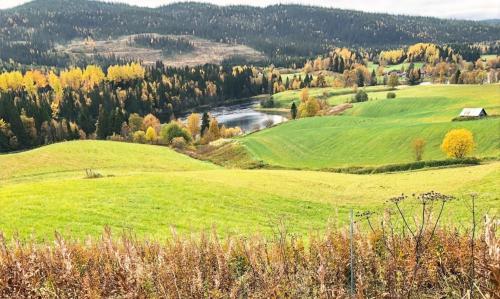 Millestgården Eco lodge - image 10