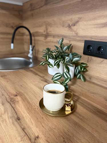 Apartman Rawda 2 in Jajce