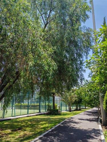 Departamento Parque Finsa, nuevo con cancha de Padel cerca de Volkswagen in Sanctórum, Mexico