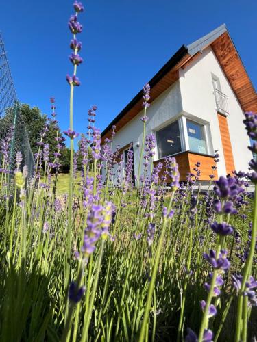 ทัศนียภาพภายนอกโรงแรม, Dom wypoczynkowy „Domek w lawendach” in โรบุญ