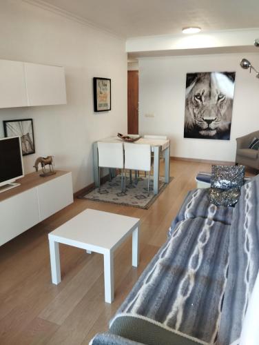 Ático con 2 grandes terrazas y 2 habitaciones, Valencie (fotografie 7)