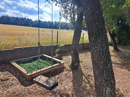 Kert, La casa del pi in Hortoneda