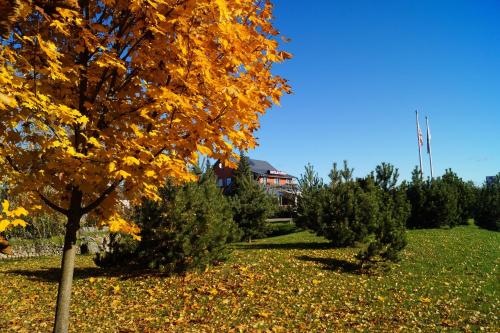 Motelis Smagratis - image 8