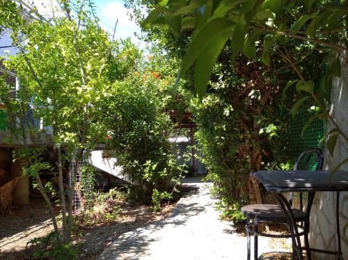 Сад, The Lemon House by The Sea in Аджія Апостолі