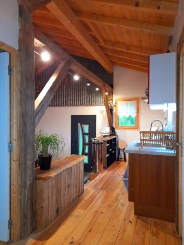Konyha, Demi-chalet à la montagne (Demi-chalet a la montagne) in Chevenoz