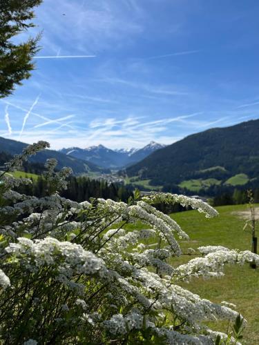 Ferien Chalet Niedermaisgut – Eben, MN