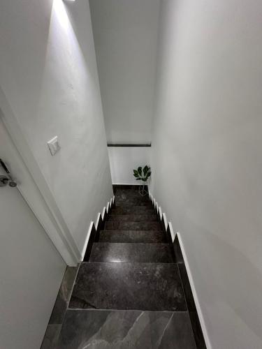 Home Mia 4