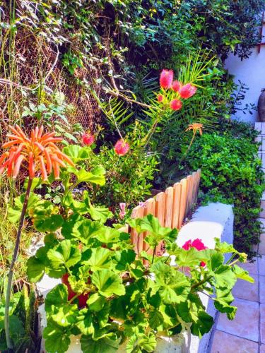 Villa Bellabé - image 12