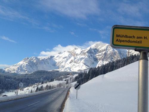 Alpendomizil Pia - Apartment - Mühlbach am Hochkönig