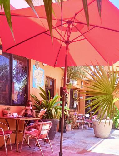 El Ultimo Maya in Xpu Ha