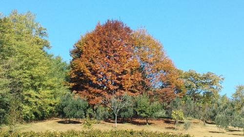 La Valle - main image
